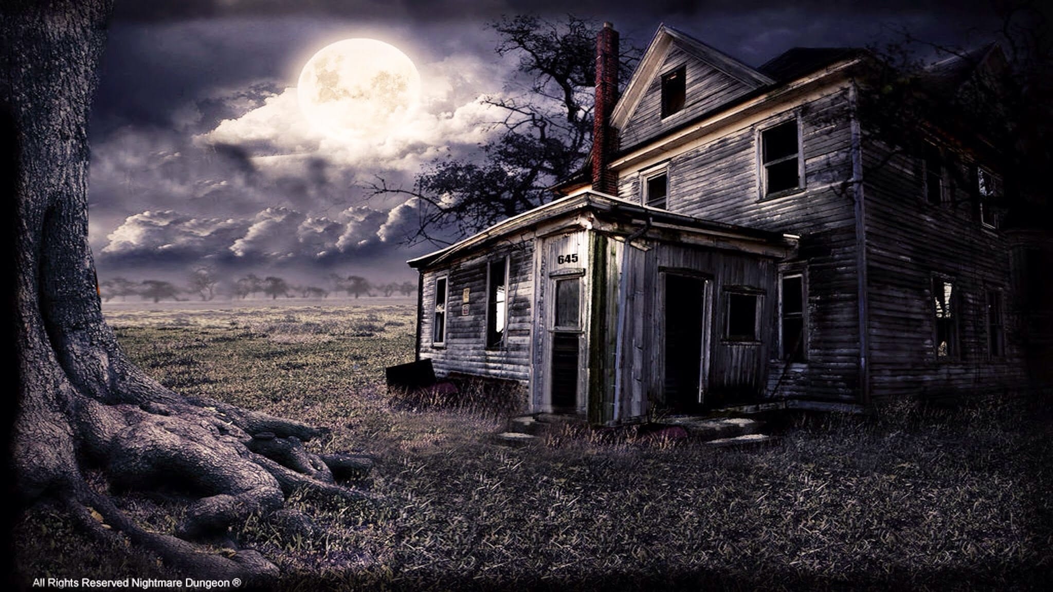 image1.jpg | NIGHTMARE DUNGEON | Haunted Houses in ...